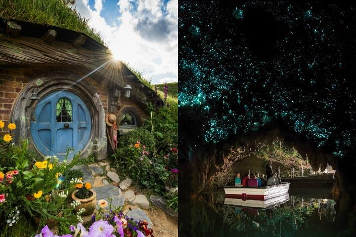 Waitomo glowworm caves & Hobbiton